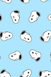 Zezex Snoopy 5 Süpersoft Şort Takımı