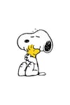 Zezex Snoopy 5 Süpersoft Şort Takımı