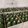Fuerte Avokado  4 kg