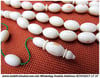  Özel Çalışma Eski Çin Oyun Taşı Mahjong Katalin Tesbih Beyaz Sevdalar