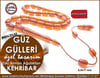 Ağızlıktan Eski Alman Sıkma Kehribar Tesbih Güz Gülleri