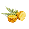Ananas