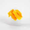 Mango Kurusu DilimliMemleket Gurmesi