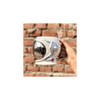 Astronot Silver Kupa
