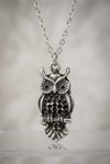 Silver Antik Vintage Baykuş Kolye