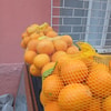 Örgü portakal filesi, porporashop