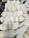 Sarımsak Filesi 15 kg 1050 m