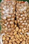 Şeffaf Çuval 50 cm-80 cm
