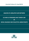 analysis-of-legislative-gaps-between-i-97a4f1.jpg