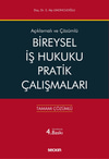 Bireysel İş Hukuku Pratik Çalışmaları  kitap kapağı