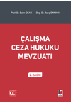 calisma-ceza-hukuku-mevzuati-e0128f.png