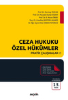 Ceza Hukuku Özel Hükümler Pratik Çalışmalar  kitap kapağı