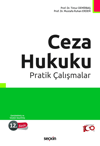 ceza-hukuku-pratik-calismalar-3-c0cd.jpg