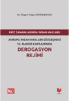 kriz-zamanlarinda-insan-haklari-avrupa-efe01-.png