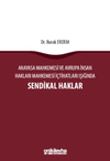 sendikal-haklar-on-iki-levha-yayincili-4b4-95.jpg