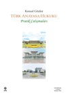 turk-anayasa-hukuku-pratik-calismalari-b1-4af.jpg