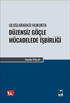 uluslararasi-hukukta-duzensiz-gocle-mu-d50c69.jpg