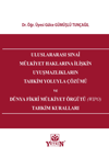 uluslararasi-sinai-mulkiyet-haklarina--48d99-.png