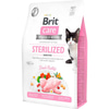 Brit Care Hypo-Allergenic Sindirim Sistemi Destekleyici Tahılsız Kısırlaştırılmış Kedi Maması 2 kg 8595602540761 Amazon Pet Center