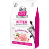 Brit Care Hypo-Allergenic Tavuklu ve Hindili Tahılsız Yavru Kedi Maması 2 Kg 8595602540679 Brit Care Tahılsız Kedi Mamaları Amazon Pet Center