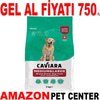 Caviara Kuzu Etli ve Pirinçli Orta & Büyük Irk Yaşlı Köpek Maması 2 Kg Gel Al 35012566 Amazon Pet Center