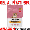 Caviara Tavuklu Mini & Küçük Irk Yavru Köpek Maması 2 Kg Gel Al 35012467 Amazon Pet Center