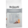 Dr. Sacchi Düşük Tahıllı Somonlu Kısır Kedi Maması 1 Kg 8690286595011 Amazon Pet Center