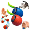 Kedi Oyuncağı İnteraktif Hareketli Top 6953578912654 Amazon Pet Center