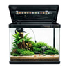 Makro Bombeli İthal Akvaryum Seti Siyah 28,9 Cm 19 x 29 Cm 35014850 Amazon Pet Center