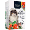 Nature Plan Kedi Çimi 8699004230012 Amazon Pet Center