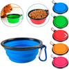 Oripet Katlanabilir Seyehat Silikon Köpek Mama Kabı 31oz 900ml 8641458624732 Amazon Pet Center