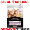 Pro Plan Junior Tavuklu Yavru Kedi Maması 10 Kg Gel Al 18148008 Amazon Pet Center