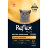 Reflex Plus British Shorthair Yavru Kedi Maması 8 Kg 8698995036078 Amazon Pet Center