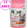 Ro Cat Sterilised Somonlu Kedi Yaş Maması 85 Gr 12 AD 18524000 Amazon Pet Center