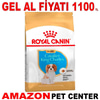 Royal Canin Cavalier King Charles Junior Yavru Köpek Maması 1,5 Kg Gel Al 18323009 Amazon Pet Center