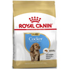 Royal Canin Cocker Junior Yavru Köpek Maması 3 Kg 3182550813211 Royal Canin Özel Irk Köpek Mamaları Amazon Pet Center
