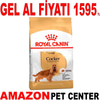 Royal Canin Cocker Spaniel Köpek Maması 3 Kg Gel Al 18326000 Amazon Pet Center