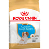 Royal Canin Junior King Charles Yavru Köpek Maması 1,5 Kg 3182550813051 Royal Canin Yavru Köpek Mamaları Amazon Pet Center