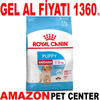 Royal Canin Medium Yavru Köpek Maması 4 Kg 19025001 Amazon Pet Center
