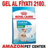 Royal Canin Mini Starter Yavru Köpek Maması 4 Kg Gel Al 18397000 Amazon Pet Center