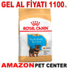 Royal Canin Yorkshire Terrier Junior 1,5 Kg Gel Al 18339000 Amazon Pet Center