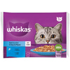 Whiskas Pouch Jöle İçinde Somonlu ve Ton Balıklı Yetişkin Kedi Konservesi 85gr (4'lü) 5900951301797 Amazon Pet Center