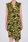 Zebra Desenli Elbise