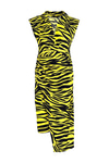 Zebra Desenli Elbise
