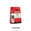Acana Classics Red Meat Kuzulu ve Sığır Etli Düşük Tahıllı Köpek Maması 2kg