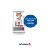 Hill's SCIENCE PLAN Ördekli Kısırlaştırılmış Kedi Maması 1,5kg