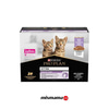 Pro Plan Pouch Sos İçinde Hindili Yavru Kedi Konservesi 85gr (10'lu)