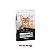 Pro Plan Renal Plus Tavuk Etli Yetişkin Kedi Maması 10kg