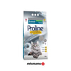Proline Aktif Karbonlu Kedi Kumu 10lt