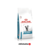 Royal Canin Anallergenic Kedi Maması 2 kg